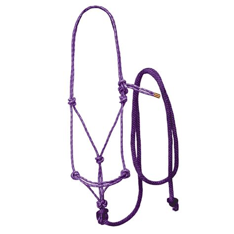 rope halter  lead fast  ropes