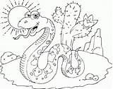 Desert Coloring Snake Pages sketch template