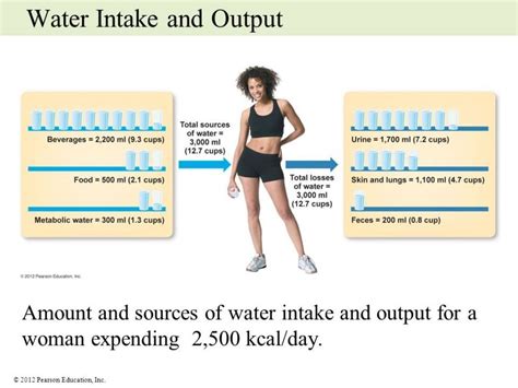intake output chart guidelines