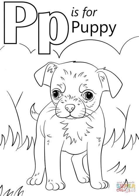letter p   parrot coloring page  printable coloring pages images