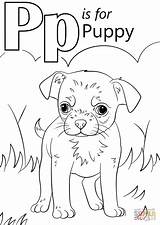 Coloring Letter Pages Puppy Worksheets Preschool Printable Alphabet Letters Words Activities Kindergarten Drawing Literacy Colors Kids Animals sketch template