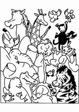 Animaux Imprimer Maternelle Afrique Jungle Propre Pratique Valentin Dieren Hamster Archivioclerici Kleurplaten Dessins Bord Coloriages Gratuitement sketch template