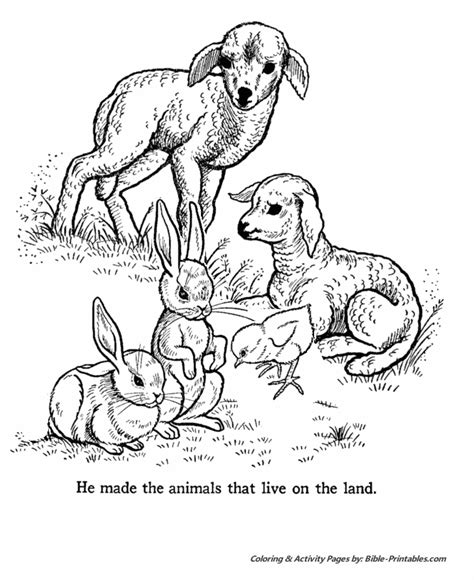 bible creation story coloring pages creation day  land animals