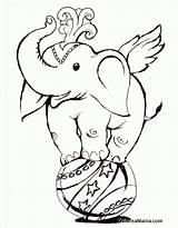 Circo Elefante Pelota Votos sketch template