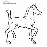 Coloring Foal Pages Saddlebred Color American Horse Index Own sketch template