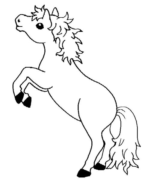 baby horse coloring pages  getdrawings