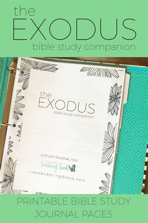 printable bible studies  small groups