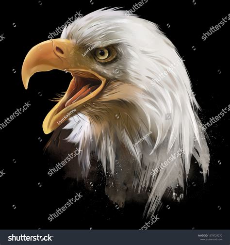american bald eagle head watercolor drawing stock illustration