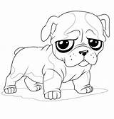 Bulldog Coloring English Pages Printable Getcolorings sketch template