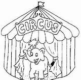Zirkus Circo Circus Ausmalen Malvorlage Disegno Zirkustiere Clown Gratismalvorlagen Fantasie Weiß Disegnidacolorare 1ausmalbilder Kategorien sketch template