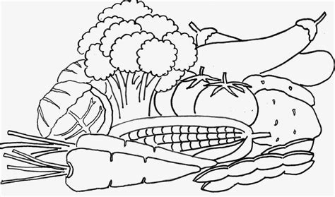vegetabless coloring pages coloring home