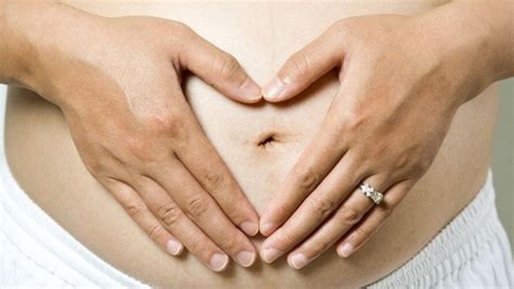 aronija u trudnoći prednosti i nedostaci with images