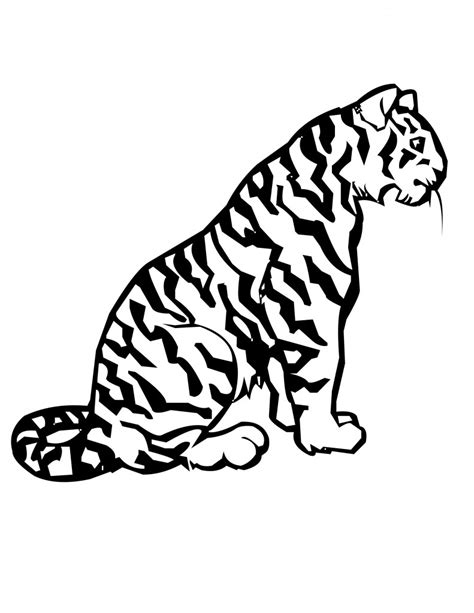 tiger coloring pages  kids image animal place