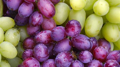 whats  season table grapes canadian food focus