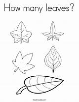 Coloring Leaves Leaf Many Pages Jungle Drawing Twistynoodle Large Print Leave Noodle Comments sketch template