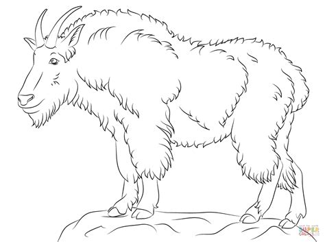 mountain goat coloring page  printable coloring pages