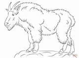 Coloring Goat Mountain Drawing Printable Drawings sketch template