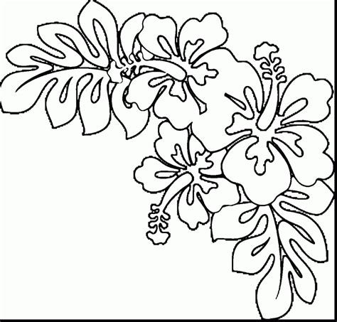 hawaiian flower drawing  getdrawings