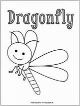 Bugs Insect Dragonfly Dragonflies sketch template