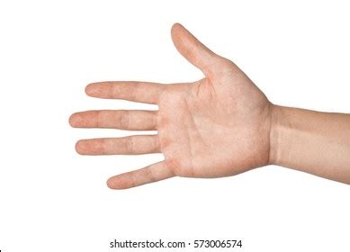hand palm images stock   objects vectors