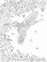 Hummingbird Mandalas Dibujos Colibri Preston Lizzie Bordar Representing Hummingbirds Terapia Zentangle sketch template