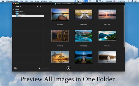 widsmob viewer image viewer software    mac