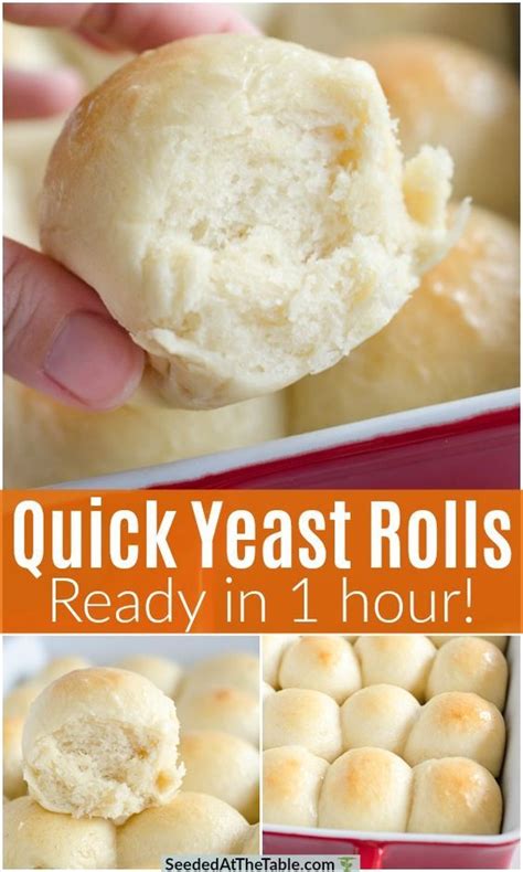quick rolls recipe quick yeast rolls easy homemade rolls homemade