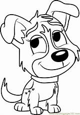 Puppies Coloring Pound Pages Pepper Coloringpages101 Cartoon sketch template