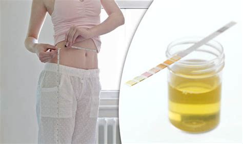 Urine Tests For Diets Find Out If What You Eat Is Good