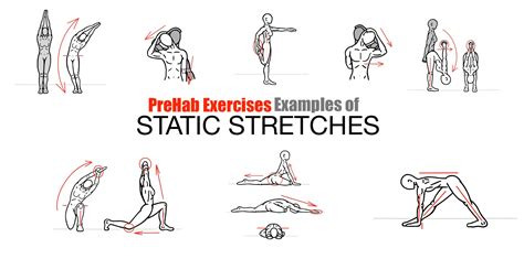 art  stretching prehab exercises