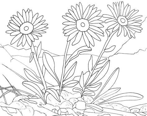 cute flower pictures  color cute coloring pages  kids flowers