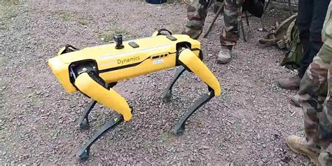 spot  robot dog tested  combat scenarios  french army iot