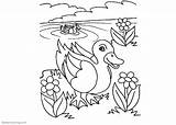 Pond Coloring Pages Line Printable Adults Kids sketch template