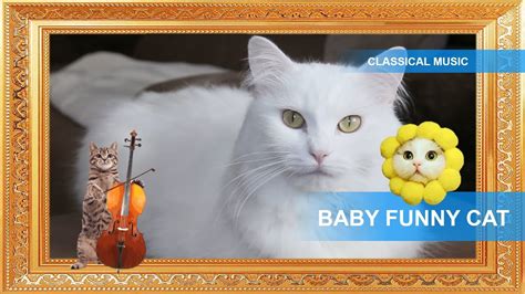 4 Cat Classic Music For Sleeping Relax Cat Classical Kitten Kitty