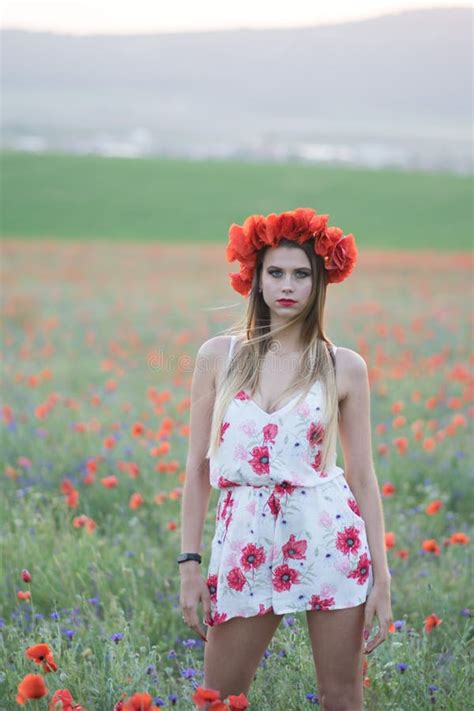 Young Pretty Woman In Poppy Fields Stock Image Image Of Lady Dress