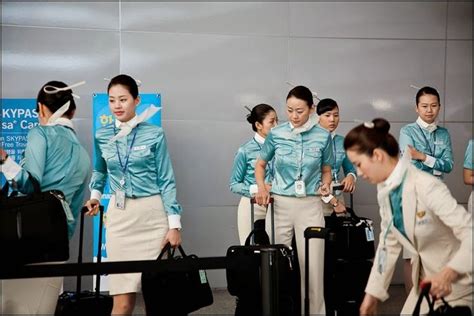 korea air hostess not service 12 804×537 stewardess pinterest