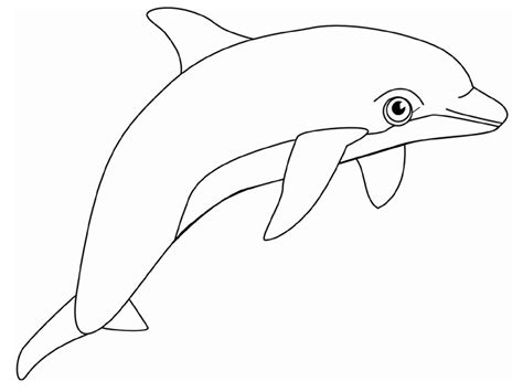 fredrick daily printable coloring pages dolphins dolphin coloring