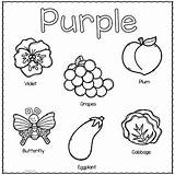 Purple Color Printable Activities Week Printables Preview sketch template