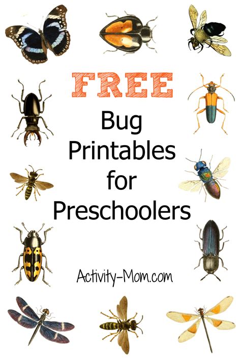 activity mom  preschool insect theme printables