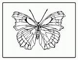 Coloring Symmetry Sheets Pages Library Clipart sketch template