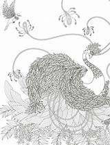 Ausmalbilder Ausmalen Paw Meerjungfrau Tiere Chapiteau Inspirierend Colorier Malvorlagen Bleistift Schmetterling Robin Whimsical Absurdly 0d Coole Emojis Baum Bildergalerie Fotografieren sketch template