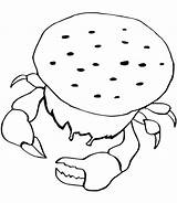 Crabe Toupty Fonctionnent Servir Boutons sketch template