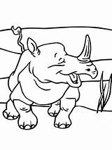 Nashorn Ausmalbild Ausmalen sketch template