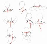 Shoulders Neck Necks Sketching Bodies Lessons sketch template