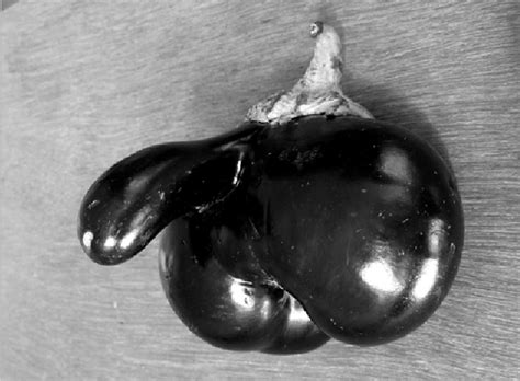 20 Fruits And Vegetables That Look Suspiciously Sexual