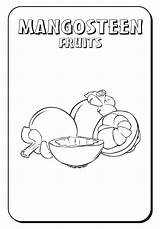Mangosteen Coloring Pages sketch template
