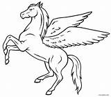 Pegasus Coloring Pages Unicorn Kids Simple Outline Drawing Horse Print Printable Adults Color Wings Realistic Line Cool2bkids Clipart Colouring Constellation sketch template
