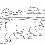 Tundra Polar sketch template