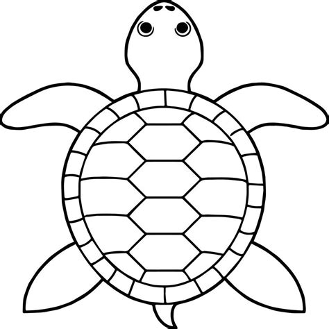 tortoise turtle top view coloring pages wecoloringpagecom