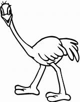 Ostrich Emu Coloring Pages Printable Color Kids Template Clipart Bestcoloringpagesforkids sketch template